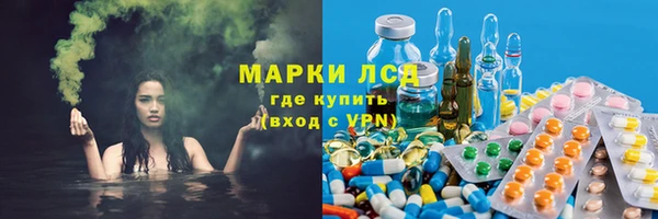 трава Аркадак