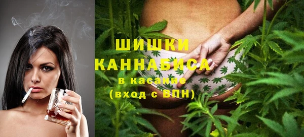 трава Аркадак