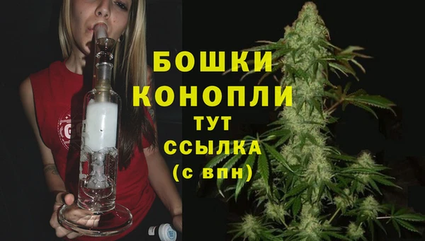 СК Арсеньев